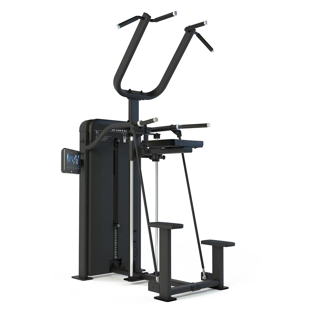 Pulse Fitness UK Club Line Assisted Chin and Dip