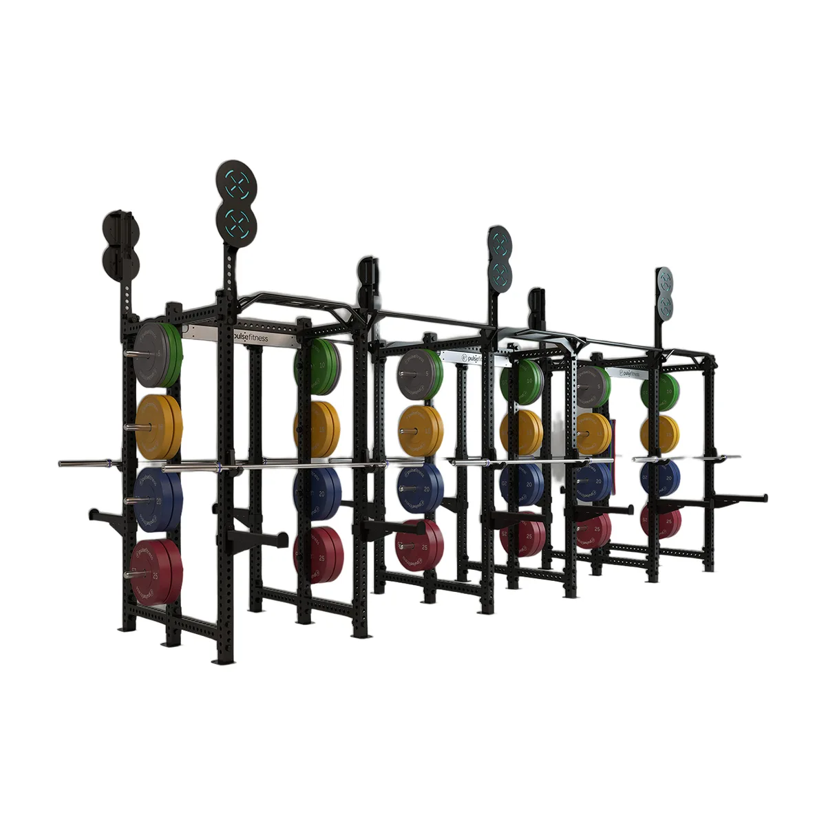 Pulse Fitness UK Functional Training Rig, 002