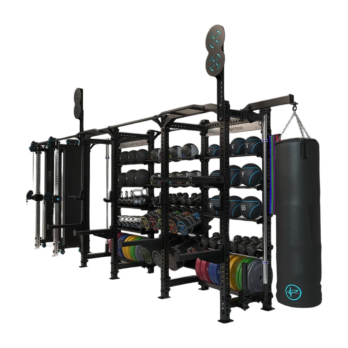 Pulse Fitness UK Functional Training Rig, 012, view 2
